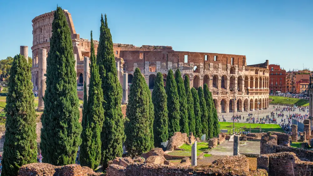 Aerial view of the Colosseum in Rome with a row of Italian cypress trees in the foreground on a sunny day